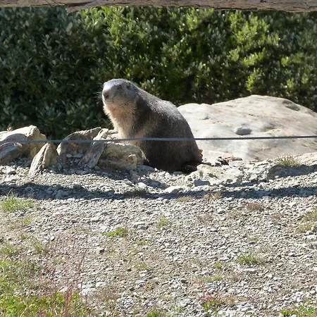 Haus Weideli Ferienhaus